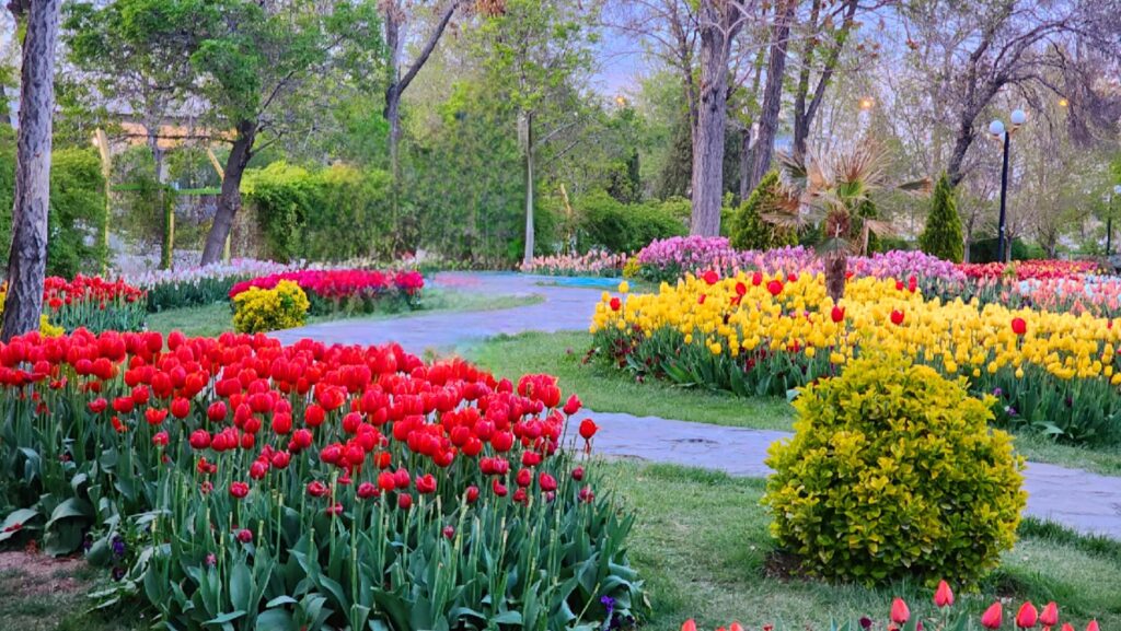 پارک-ملت-اراک